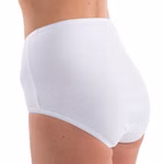 Damen high-waist hochgeschlossen Slip Taillenslip weiß Rückansicht