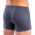 Herren Pant mit Dehnbund - Funktionsunterwäsche graphit Rückansicht