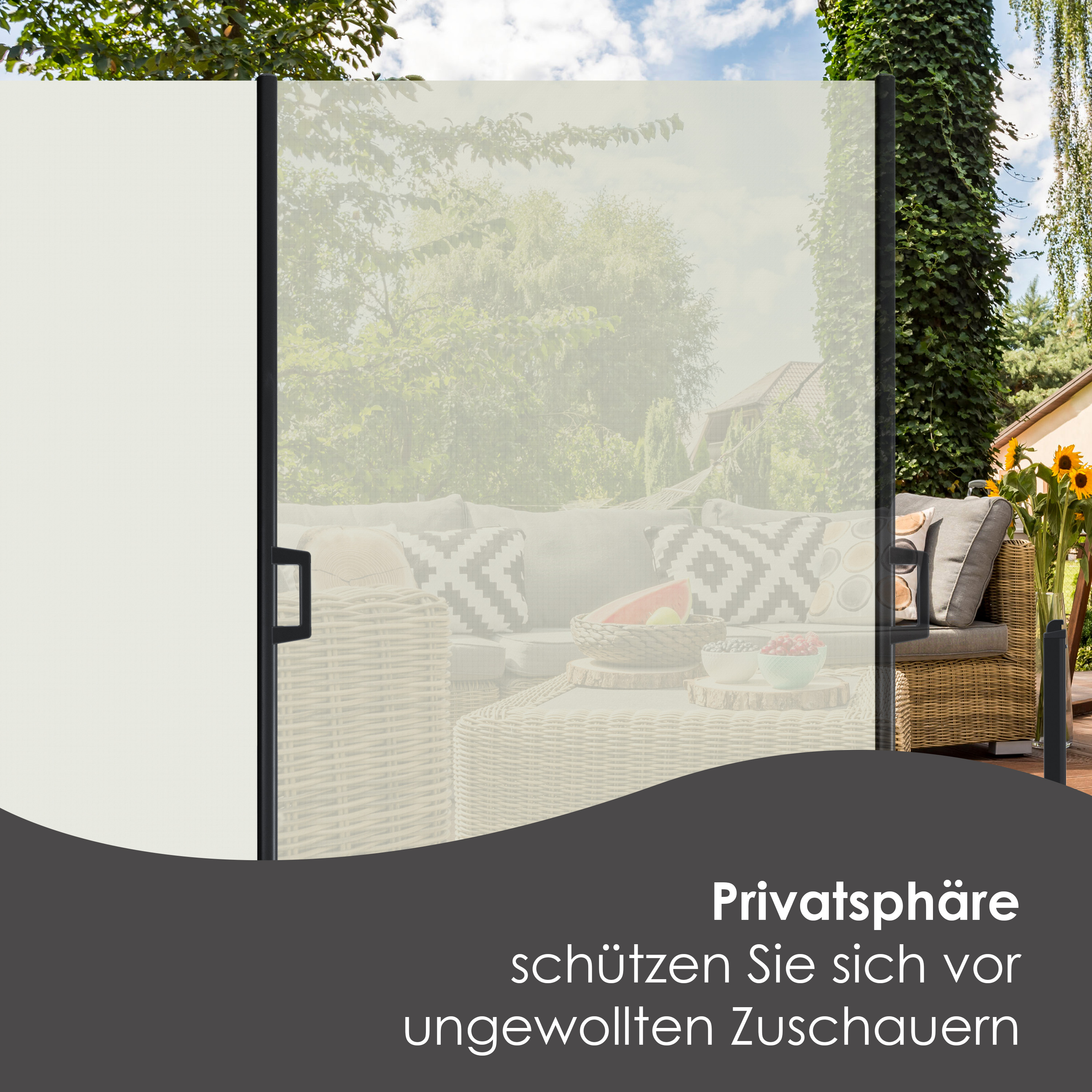 markise für camper gebraucht Ezcasch Sonnenschutz Wohnmobil, 2x4m(Höhe x Breit) 75% View Blocker Markisen Vorderwand Sonnenschutz Markise Wohnmobil Sunblocker für Campingwagen,Wohnmobil,Wohnwagen Auto & Motorrad Color:Blush Dot 2025-2025+Triumph+Thruxton 1200 RS Final Edition VEVOR Sonnenschutz-Vorwand 2x4,3m Für