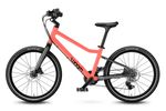 Foto3-png.jpg