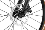 100955-0000-8002-disc.png