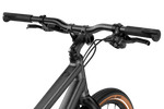 100955-0000-8002-stem.png
