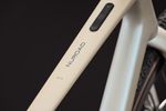 synqup-1136600-D-01-1920x1920.jpg