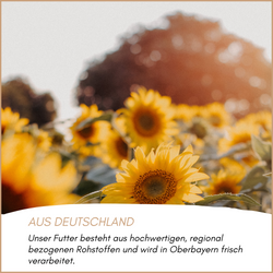03-herkunft.png 03-herkunft.png