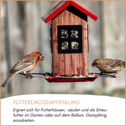 04-emotionales-bild-mit-qualitaet.png 04-emotionales-bild-mit-qualitaet.png