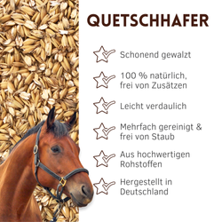 01-uebersicht.png 01-uebersicht.png