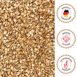 07-abschluss-hafer.png 07-abschluss-hafer.png