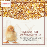 kuekengruetze-01.png