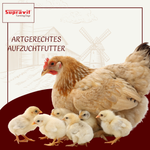 kuekengruetze-04.png