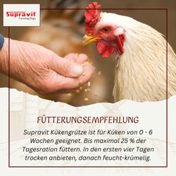 kuekengruetze-05.png kuekengruetze-05.png