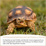 04-emotionales-bild-mit-qualitaet--2-.png