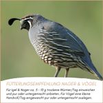04-fuetterung-1-neu.jpg