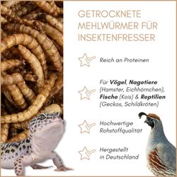 01-qualitaeten-neu.jpg 01-qualitaeten-neu.jpg