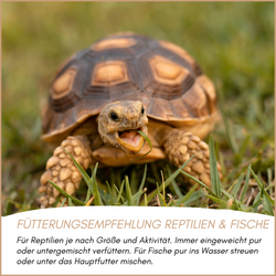 04-emotionales-bild-mit-qualitaet--2-.png 04-emotionales-bild-mit-qualitaet--2-.png