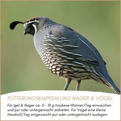 04-fuetterung-1-neu.jpg 04-fuetterung-1-neu.jpg