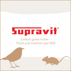 9.png 9.png
