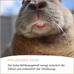 nagerfutter-03.png nagerfutter-03.png