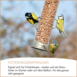 04-emotionales-bild-mit-qualitaet.png 04-emotionales-bild-mit-qualitaet.png