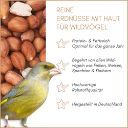 01-qualitaeten_1.png 01-qualitaeten_1.png