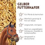 01-uebersicht.jpg