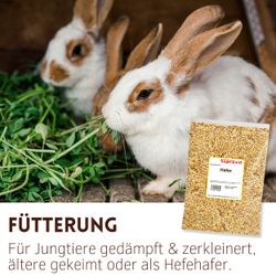 05-fuetterung--4-.jpg 05-fuetterung--4-.jpg