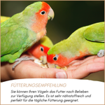 04-emotionales-bild-mit-qualitaet.png