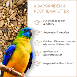 01-qualitaeten.png 01-qualitaeten.png