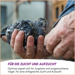 03-emotionales-bild-mit-qualitaet.png