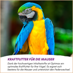 05-emotionales-bild-mit-qualitaet.png
