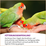 06-emotionales-bild-mit-qualitaet.png