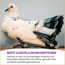 04-emotionales-bild-mit-qualitaet.png 04-emotionales-bild-mit-qualitaet.png