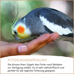 04-emotionales-bild-mit-qualitaet.png 04-emotionales-bild-mit-qualitaet.png