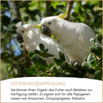 04-emotionales-bild-mit-qualitaet.png