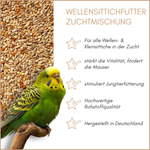 01-qualitaeten.png