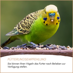 04-emotionales-bild-mit-qualitaet.png 04-emotionales-bild-mit-qualitaet.png