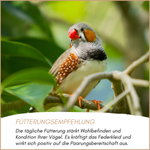 04-emotionales-bild-mit-qualitaet.png