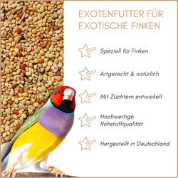 01-qualitaeten.png 01-qualitaeten.png