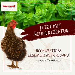 01-neu.png 01-neu.png