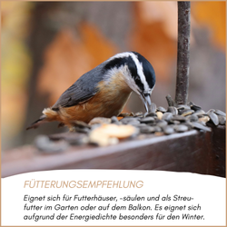 04-emotionales-bild-mit-qualitaet.png 04-emotionales-bild-mit-qualitaet.png