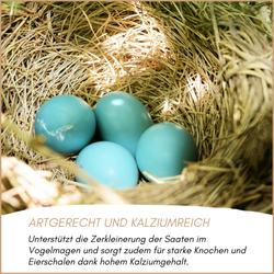 05-emotionales-bild-mit-qualitaet.png 05-emotionales-bild-mit-qualitaet.png