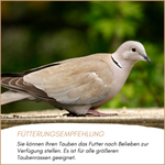 04-emotionales-bild-mit-qualitaet.png