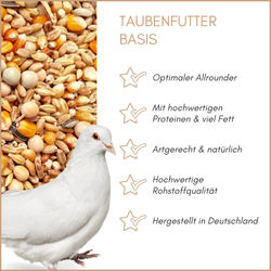 01-qualitaeten.png 01-qualitaeten.png