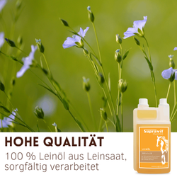03-leinoel.png 03-leinoel.png
