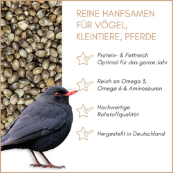 01-qualitaeten.png 01-qualitaeten.png