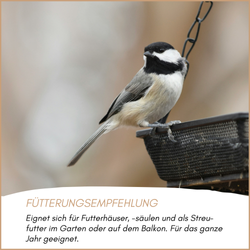 04-emotionales-bild-mit-qualitaet.png 04-emotionales-bild-mit-qualitaet.png
