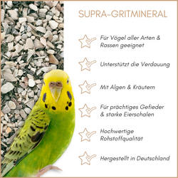 01-qualitaeten.png 01-qualitaeten.png