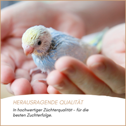 03-herkunft.png 03-herkunft.png