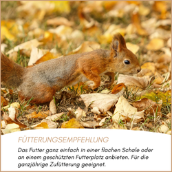04-emotionales-bild-mit-qualitaet.png 04-emotionales-bild-mit-qualitaet.png