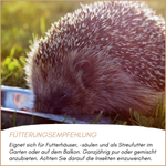 04-emotionales-bild-mit-qualitaet.png