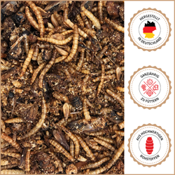 05-produkt-mit-siegel-ohne-verpackung.png 05-produkt-mit-siegel-ohne-verpackung.png